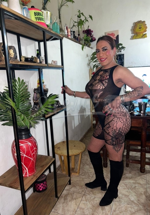 Escort: Brisa Trans - Teléfono: 351-2331651‬ - Foto: 24